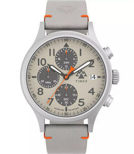 ساعت مچی تایمکس مدل TW2W16500