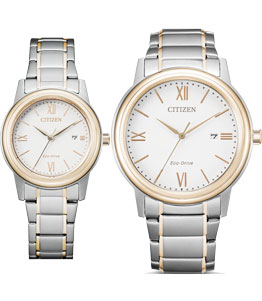 ساعت مچی ست سیتیزن AW1676-86A FE1226-82A