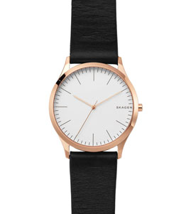 ساعت مچی اسکاژن مدل SKW1102